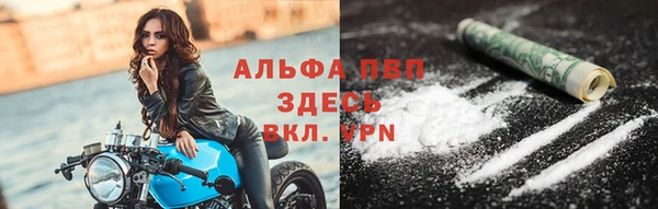 шишки Арсеньев