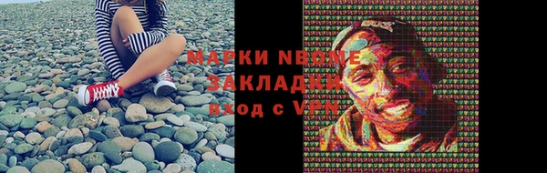 шишки Арсеньев