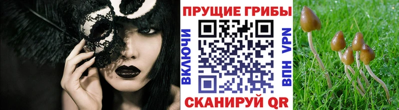 Галлюциногенные грибы GOLDEN TEACHER  Валдай 